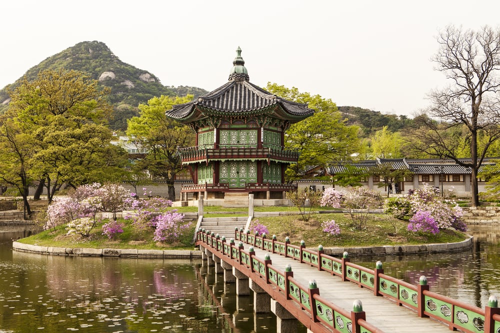 8 Visita della Corea del Sud - Buonotourist