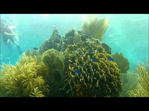 Placencia Belize Snorkeling
