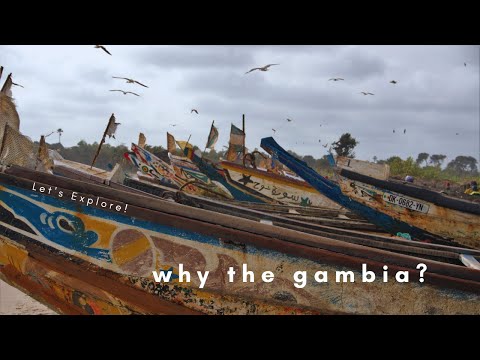 Cose Da Fare In Gambia