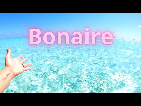 Snorkeling In Bonaire