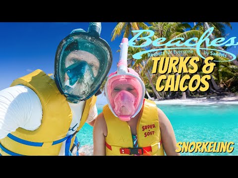 Snorkeling In Turchi E Caicos