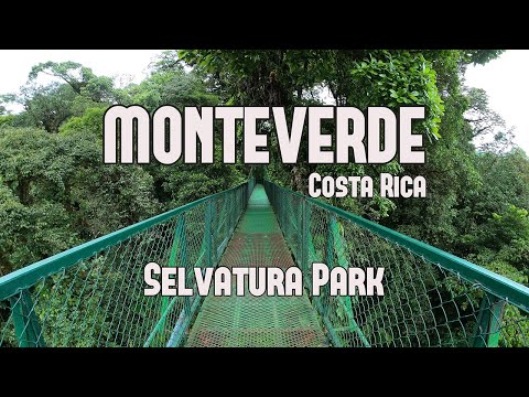 San Jose A Monteverde Costa Rica