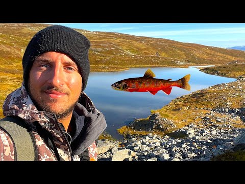 Gite Di Pesca In Norvegia