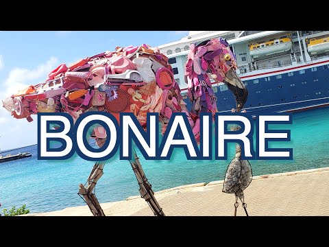 Come Arrivare A Bonaire