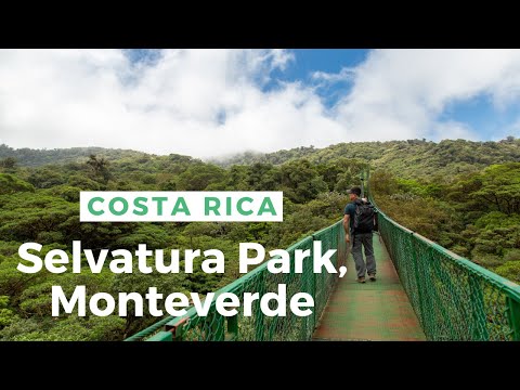 Slide Della Giungla Costa Rica