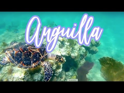 Anguilla Snorkeling