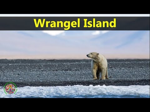 Wrangel Island Travel