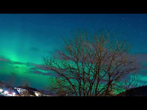 Kirkenes Northern Lights