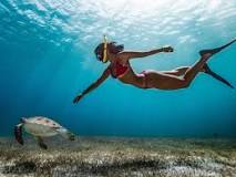 Esplorare il paradiso di snorkeling: Bahamas ‘