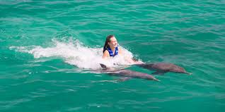 Nuoto con i delfini a St. Thomas ‘