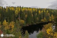 Parchi naturali della Finlandia: esplora i paradisi nascosti