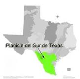 Esplorare il Texas: chiarire le sue regioni