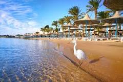 Paradiso trovato: esplorare le migliori spiagge di Hurghada