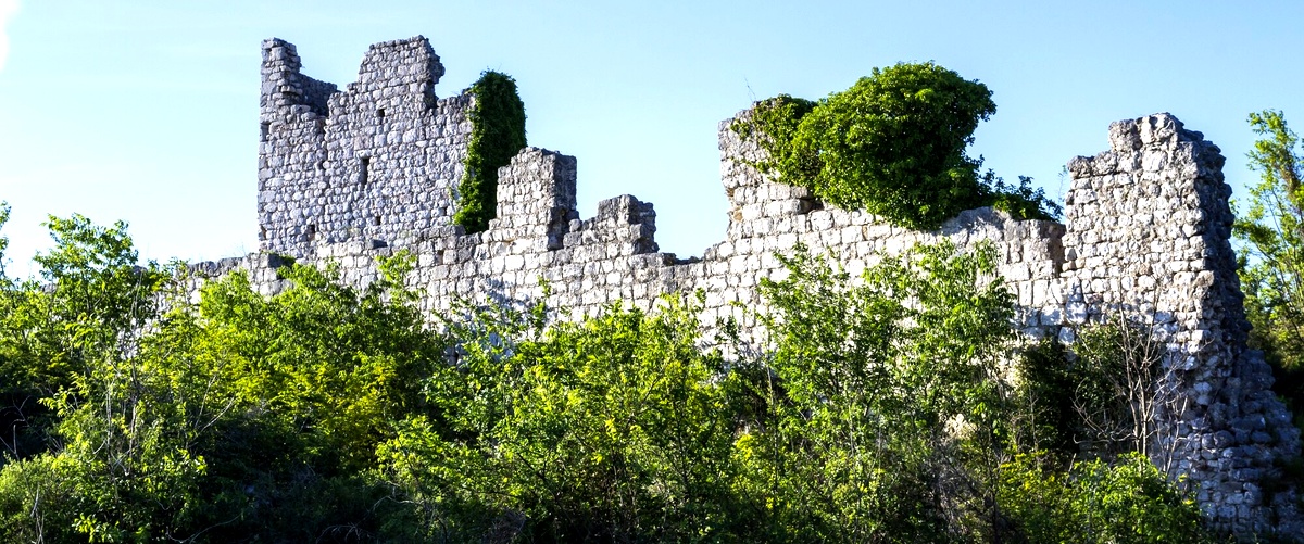 Cosa vedere vicino al Castello di Miramare?