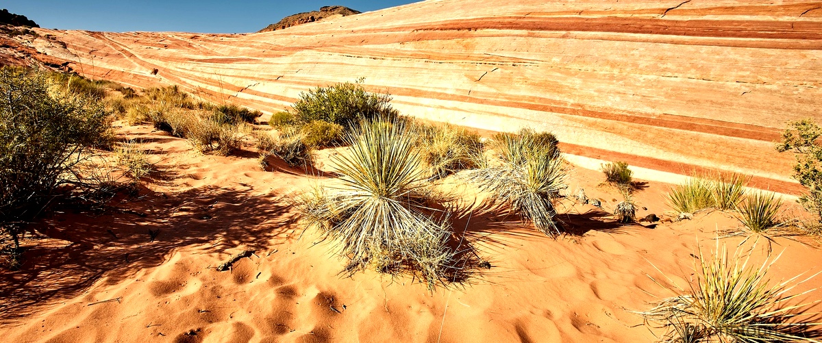 Domanda: Come si chiama il deserto in Arizona?