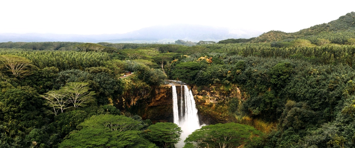 Parchi Costa Rica: una guida ai tesori naturali del paese
