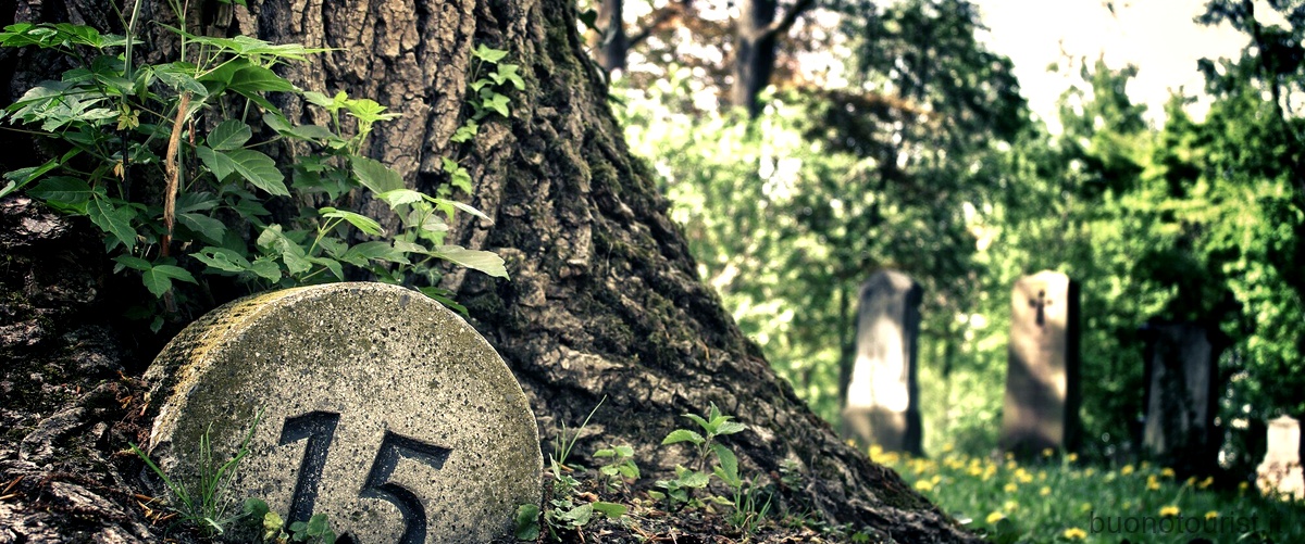 Qual è il cimitero più antico del mondo?