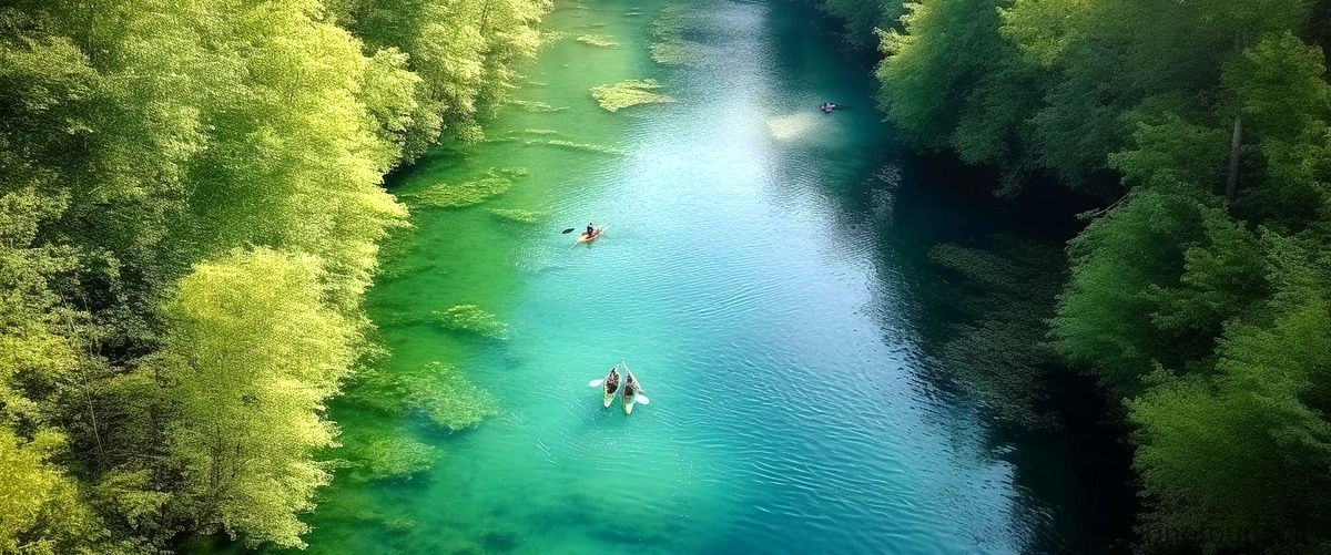 Qual è il fiume più importante della Romania?