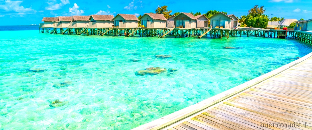 Qual è il periodo migliore per andare alle Bahamas?