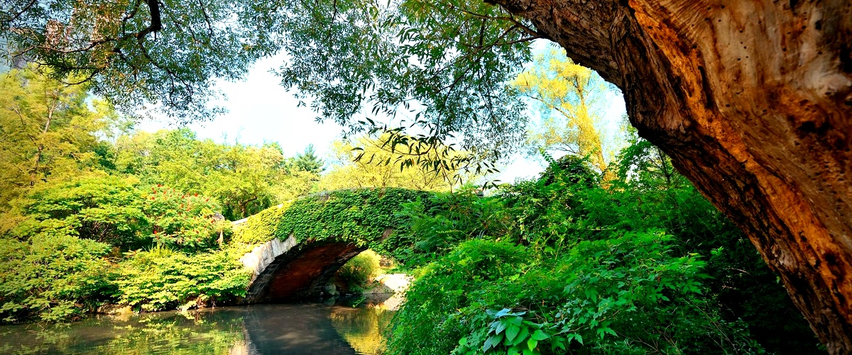 Grotte Reed Flute: un viaggio nellincanto delle meraviglie cinesi