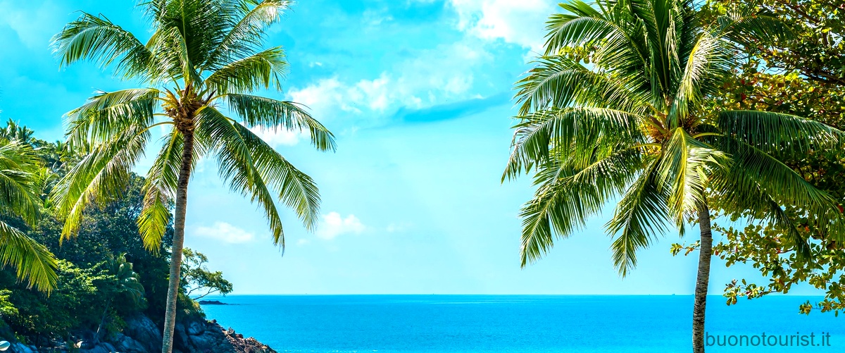 Qual è la differenza tra le Antille e i Caraibi?