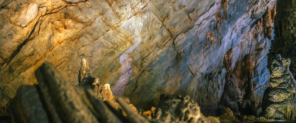 Qual è la flora delle grotte carsiche?