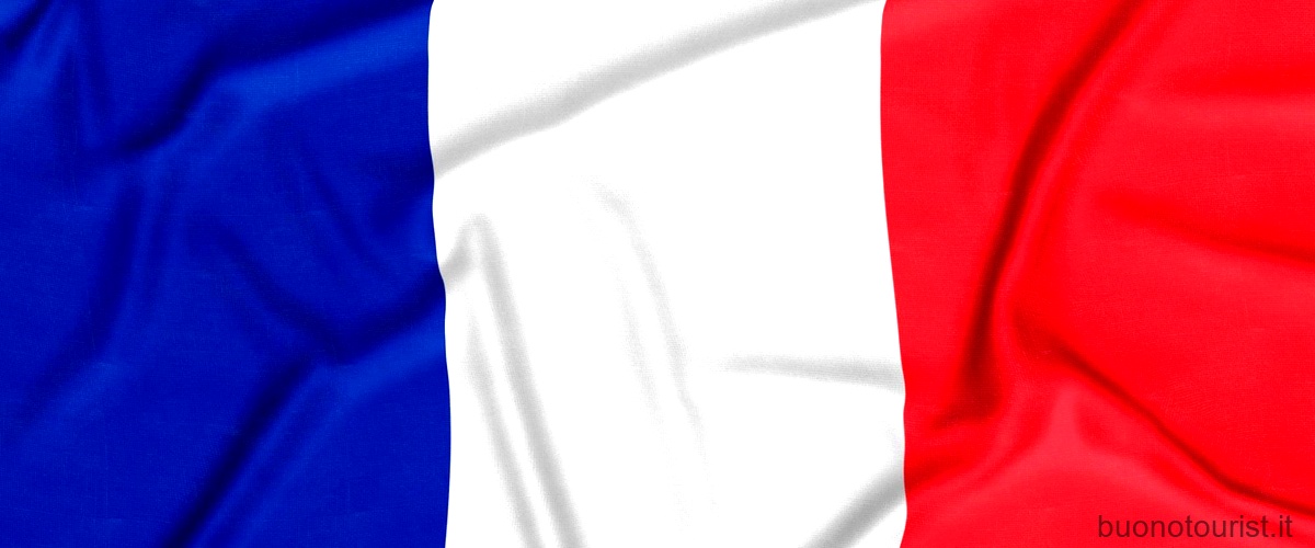 Qual è la seconda lingua che si studia in Francia?