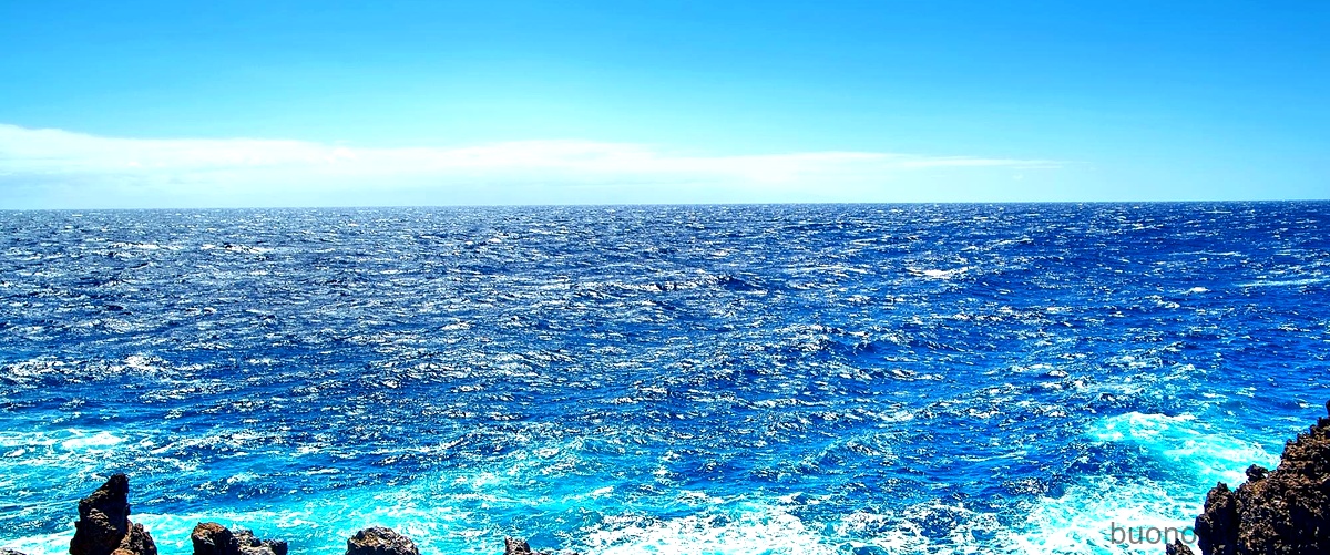 Golfo de Mexico: una meraviglia delloceano