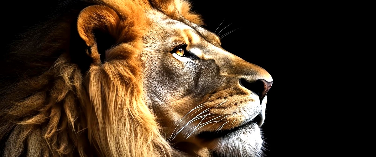 Tipi di leoni: scopri le diverse specie e le loro caratteristiche