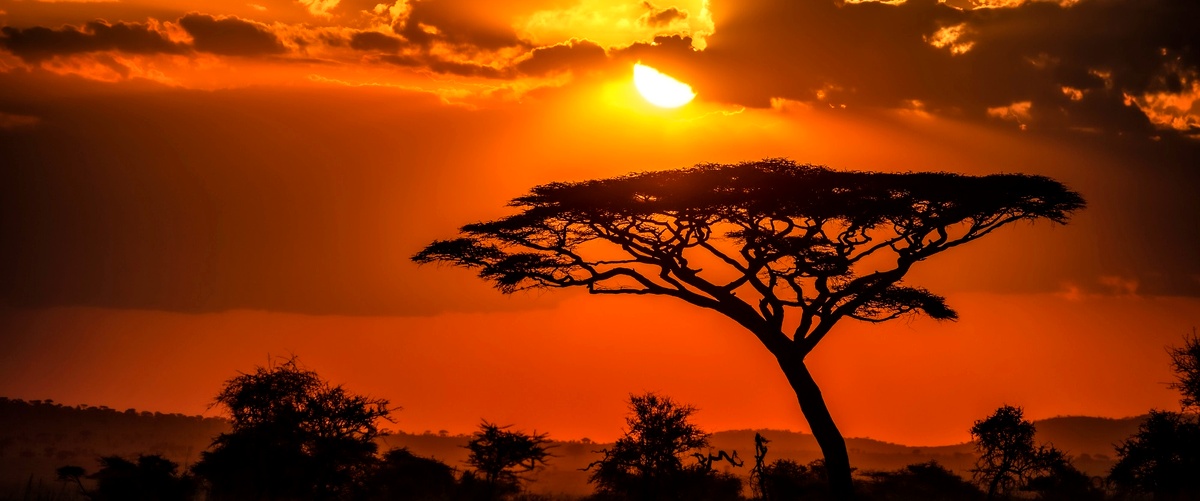 Quanti giorni di safari in Tanzania?