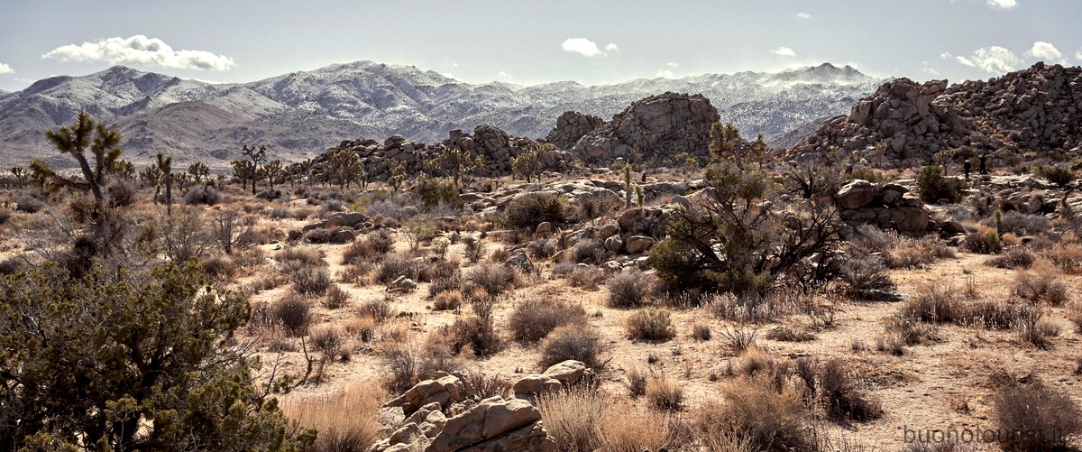 Taos Pueblo: un tuffo nella storia ancestrale del Nuovo Messico