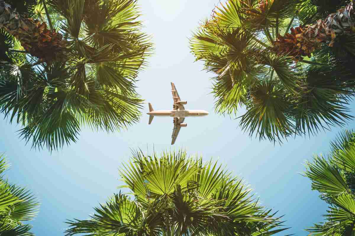 Aereo vola in mezzo agli alberi